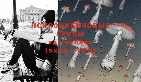 тгк Иннополис