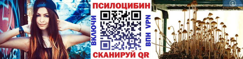 Галлюциногенные грибы мухоморы  Горняк 